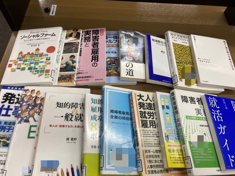 rui_468's tweet photo. 今、就職困難者の一般就労をメインに研究を進めていて、

近接領域の障害者雇用の文献も、沢山読みます！

小学生から夏休みに毎日1日1冊読んでいたら、今は1日6冊くらいは全く苦にならずに読める👌 https://t.co/eudhOzwY3X