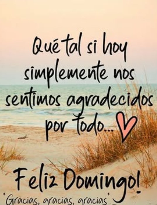 XTINAGDC's tweet image. #BuenosDías #FelizDomingo 
Qué en este día la felicidad sea compartida! 
😘😘🫂☕📖💤🧁❤️🙏🙏🌷💐💕