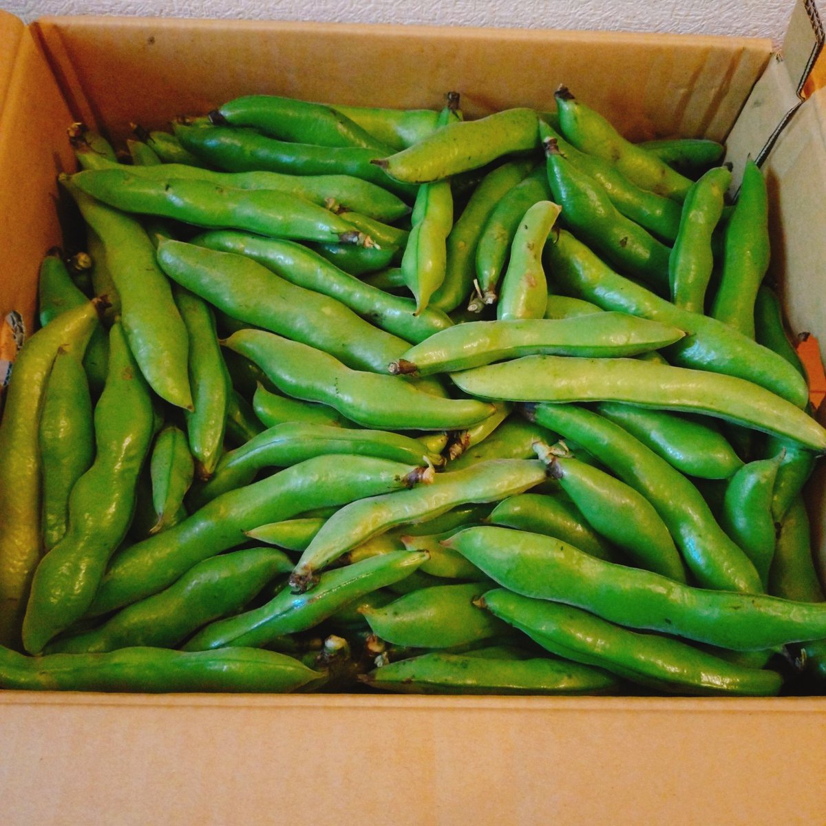 🍀けい🍀 tweet media