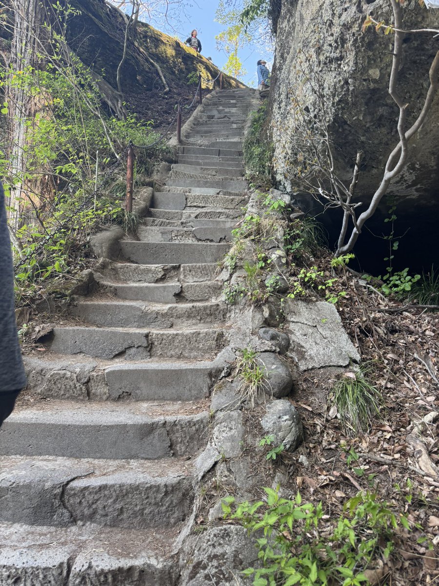 ぴけす tweet media