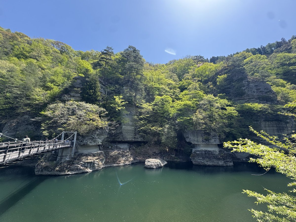 ぴけす tweet media