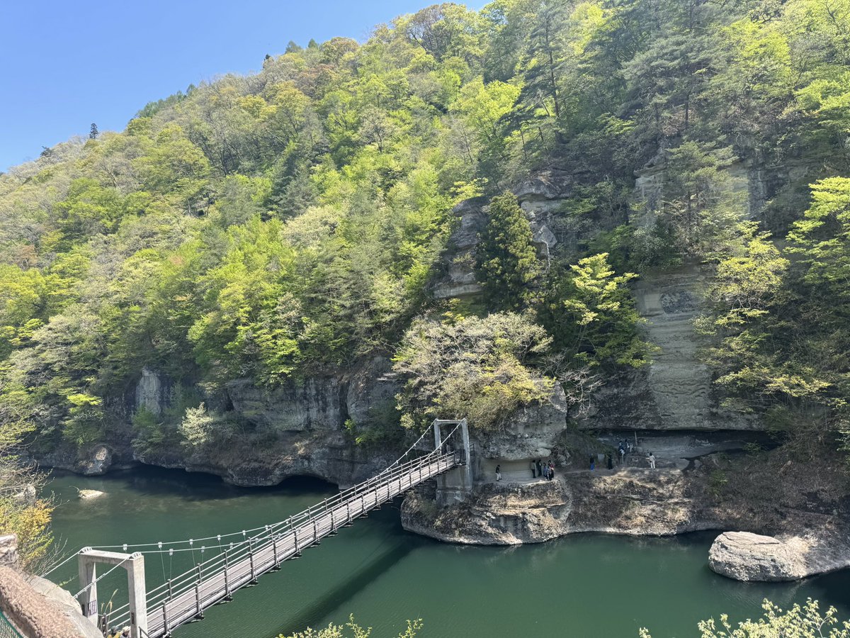 ぴけす tweet media