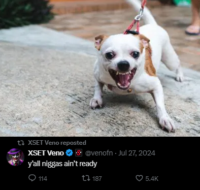 PLCR 🇵🇱🦅 tweet media