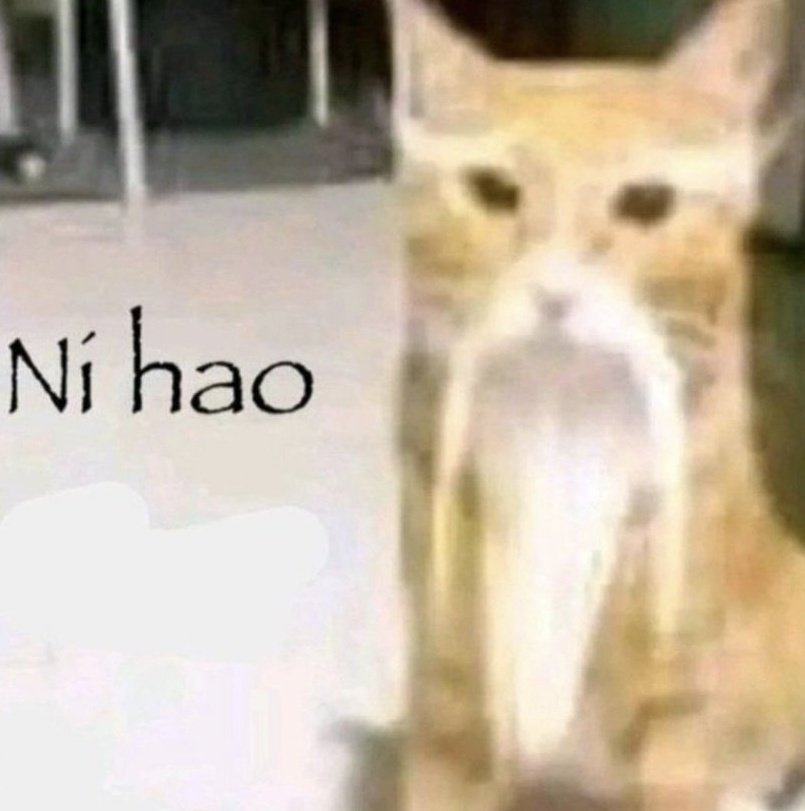 yuko‎ ꫂ᭪݁ tweet media