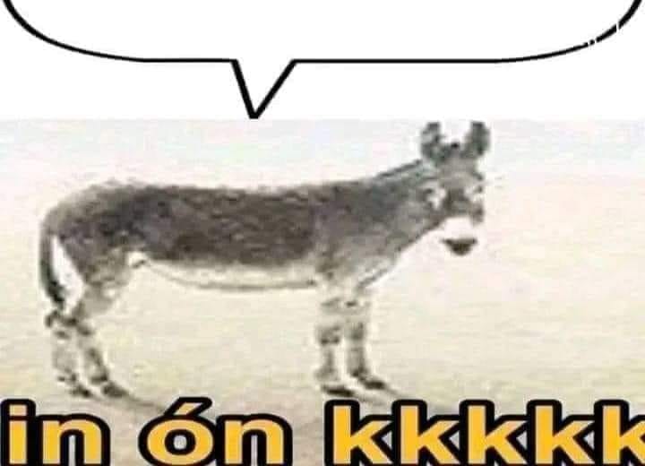 SANTISTA E COMUNISTA tweet media