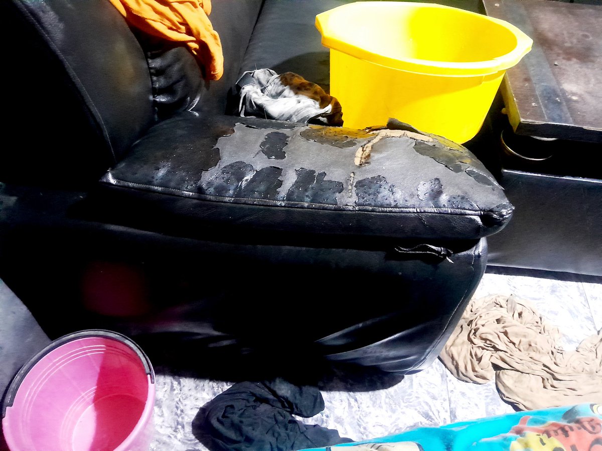 Damilola Afolayan tweet media