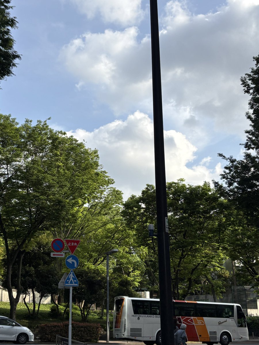 잠득이그는감히노랗다고볼수있다 tweet media