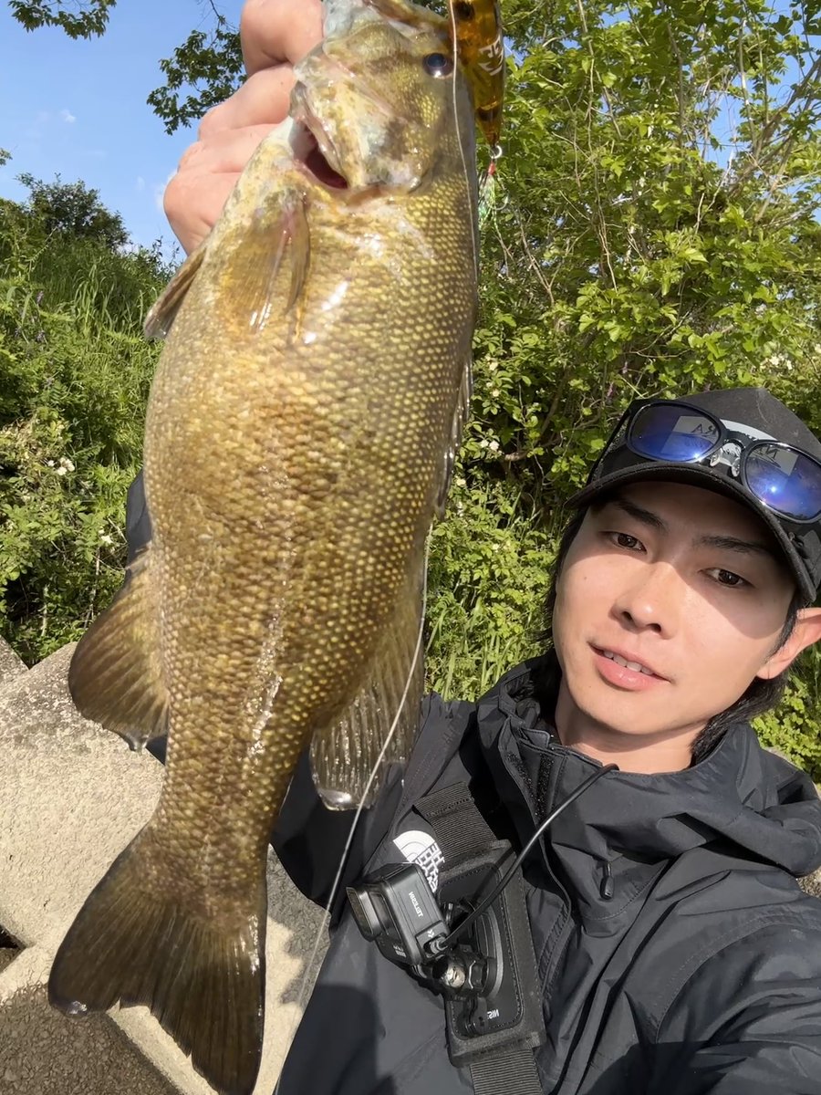 無名ライダー tweet media