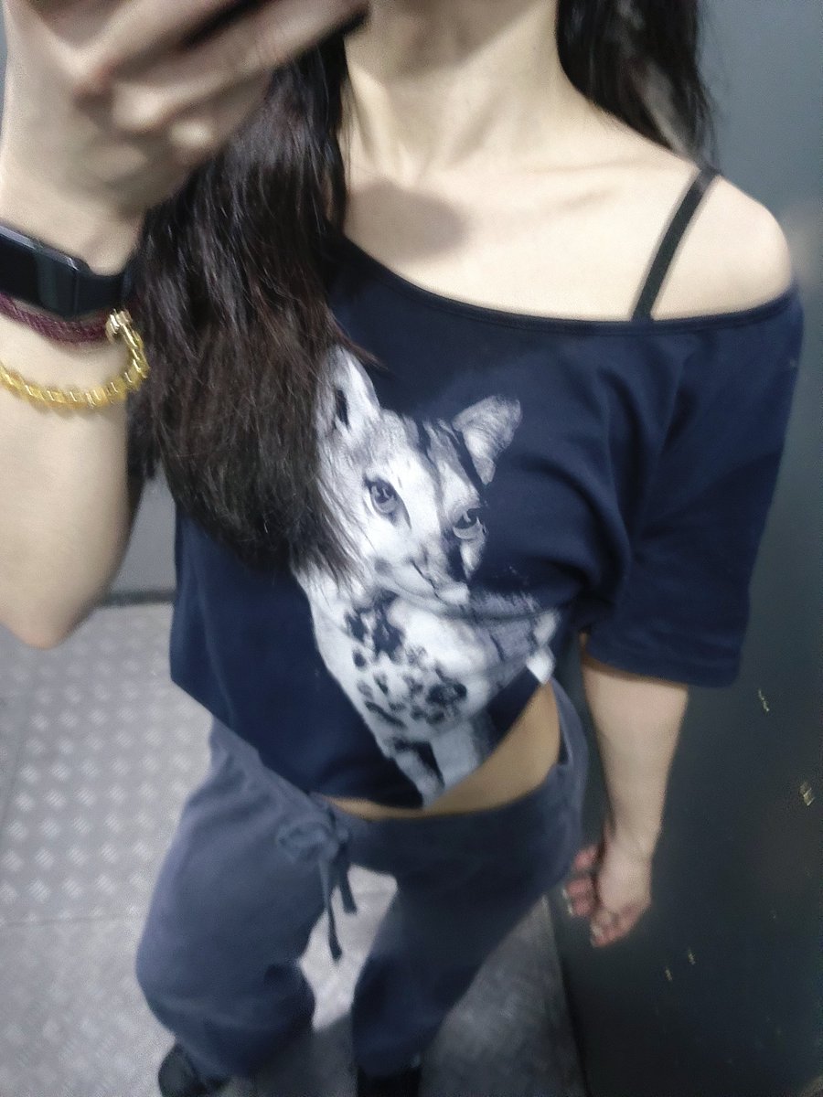 猫不猫 tweet media