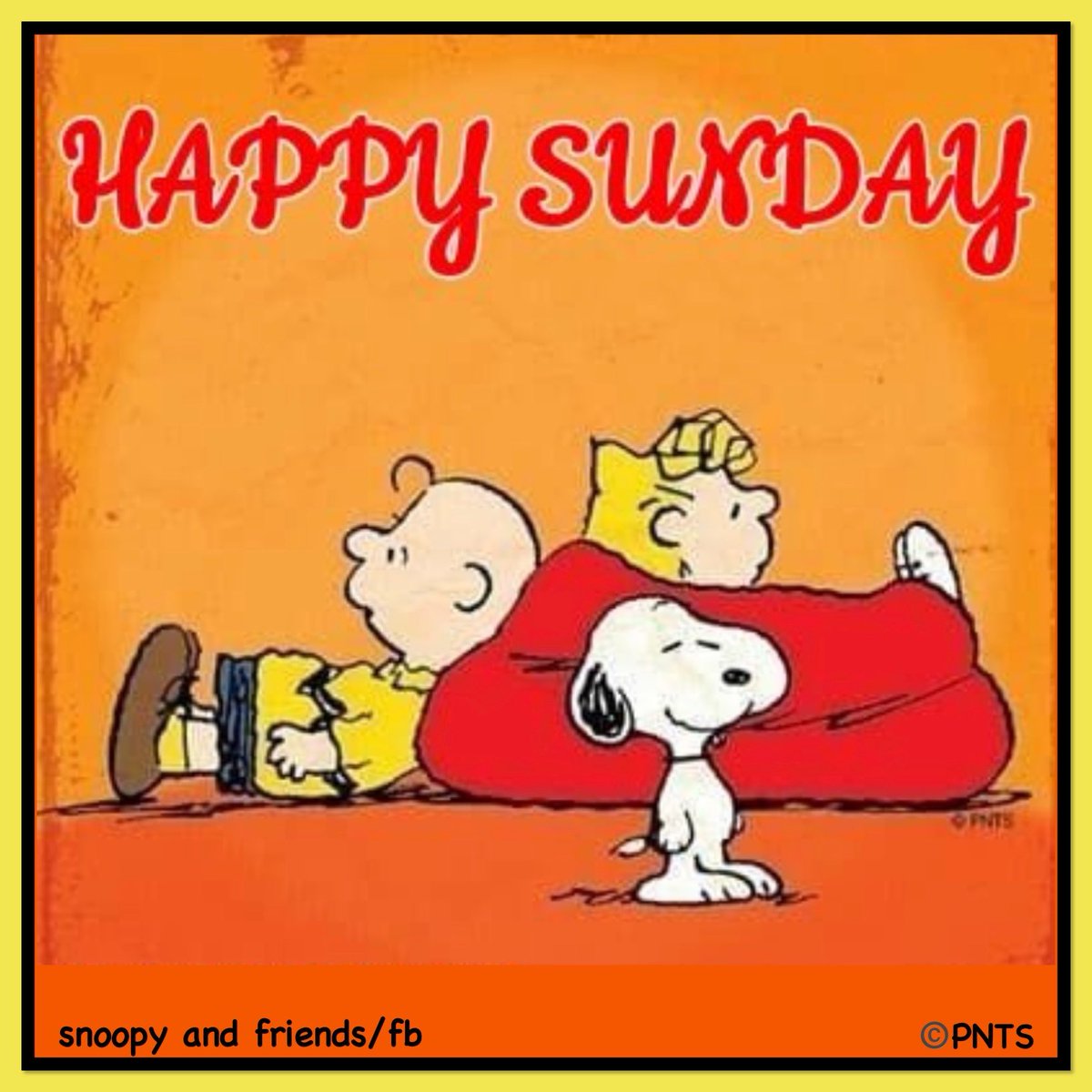 snoopy and friends tweet media