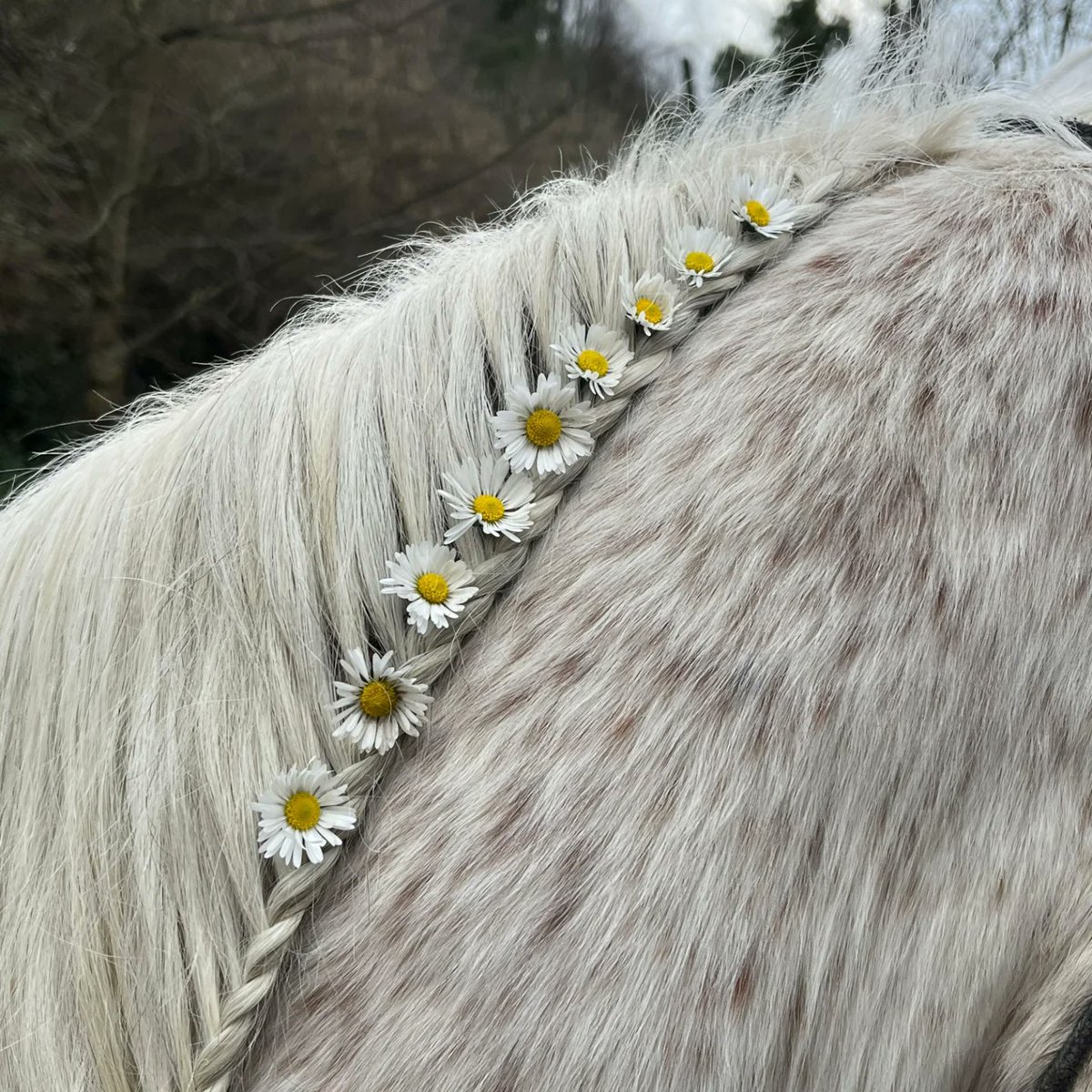 Purely Green tweet media