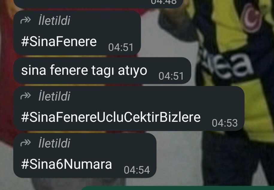 catamonu🧷 🇹🇷🛹 tweet media