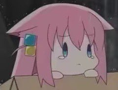 Bocchi Cat Daily tweet media