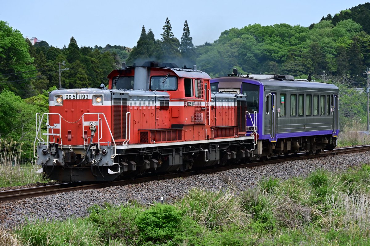 もち★プロフ確認 NikonZ6Ⅲ 📷 試運転（サブ機） 2日間 操作も問題なく手持ち撮影出来て