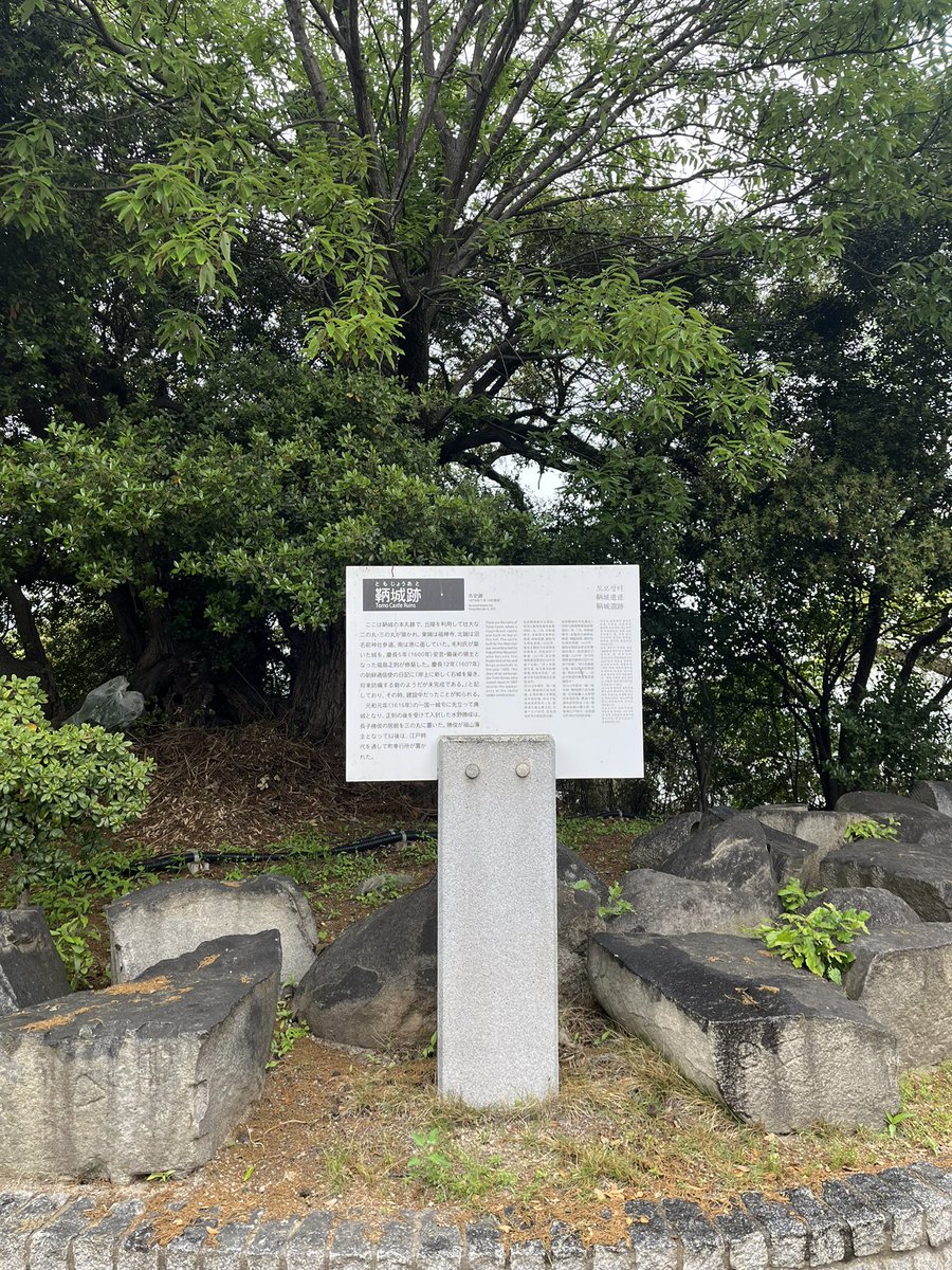 oimozuki tweet media