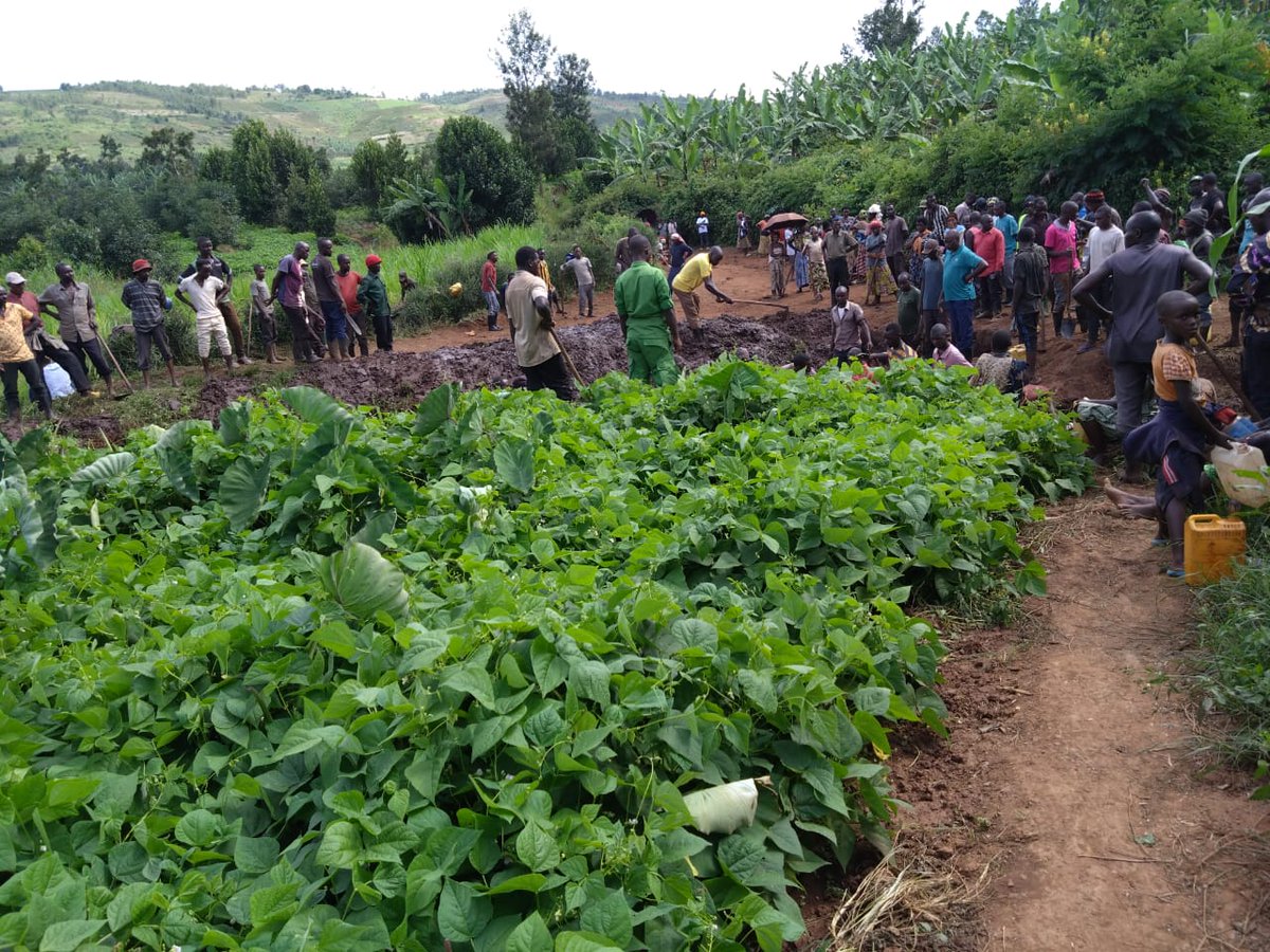 Murama Sector/KAYONZA District tweet media