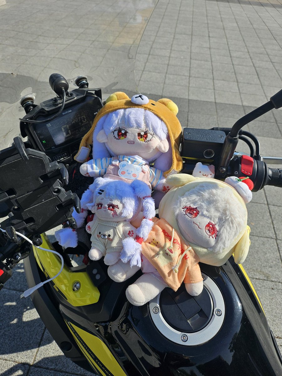 프라마(ぷらま) tweet media