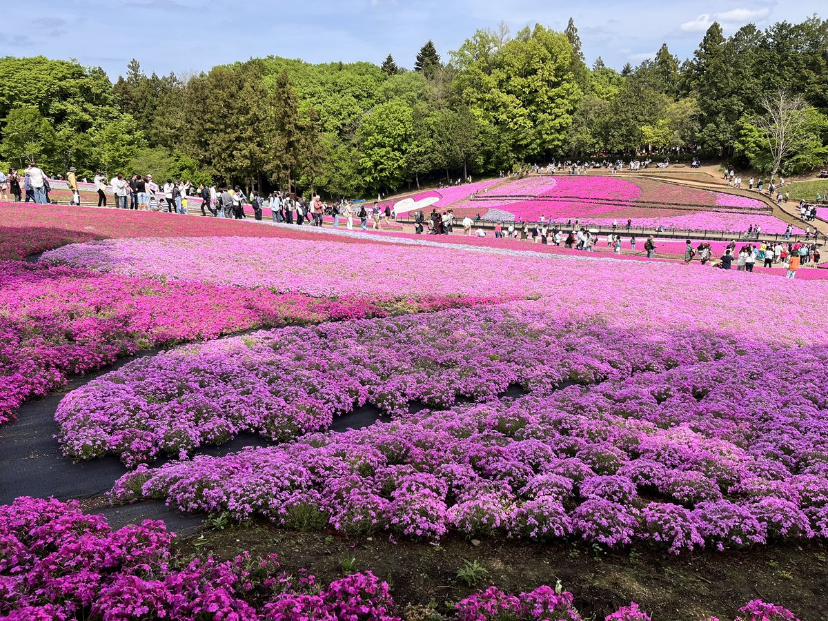 やすまる tweet media