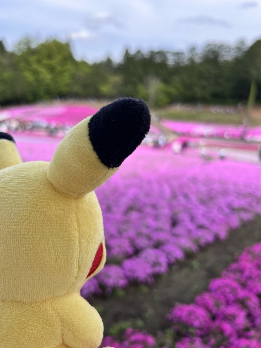 やすまる tweet media