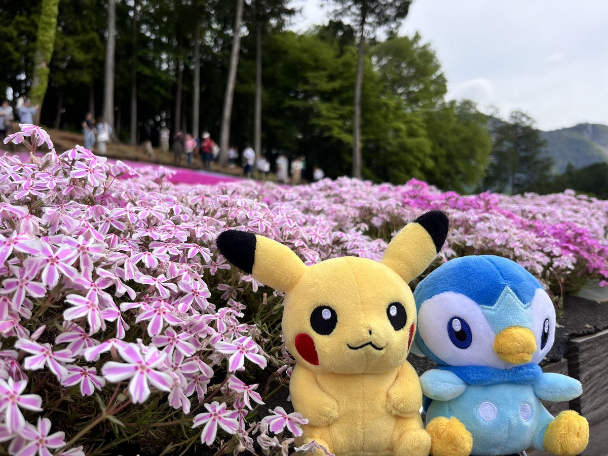 やすまる tweet media