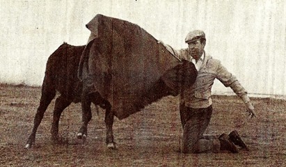 La Taurina tweet media