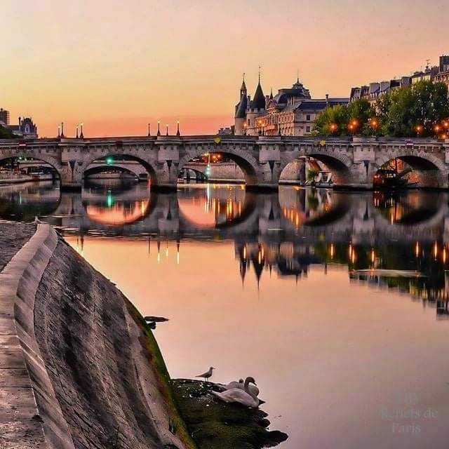 (Re)découvrez PARIS, le compte 100% PARIS 🇫🇷 tweet media