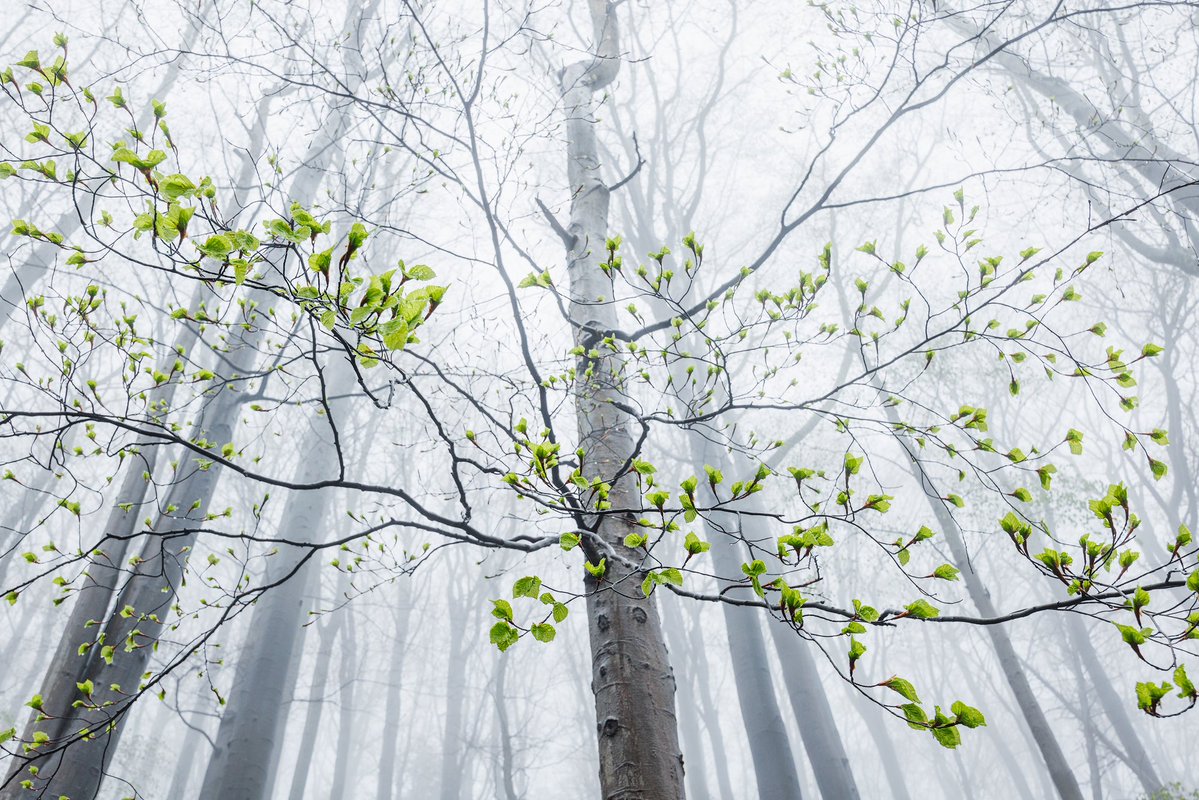 Martin Rak tweet media