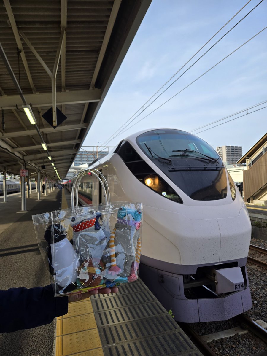 みきゅ♪ tweet media