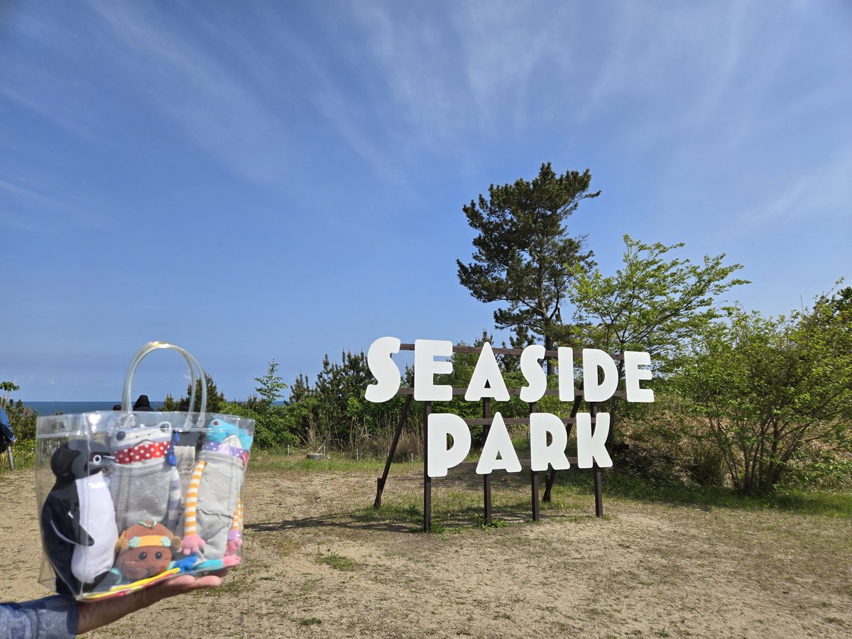 みきゅ♪ tweet media