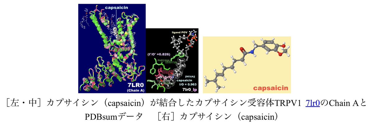 本間善夫 - 科学コミュニケーター tweet media