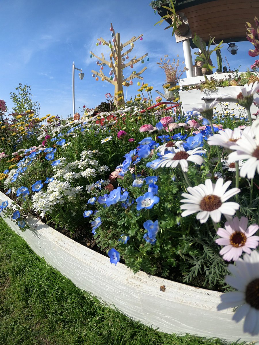 つくん tweet media