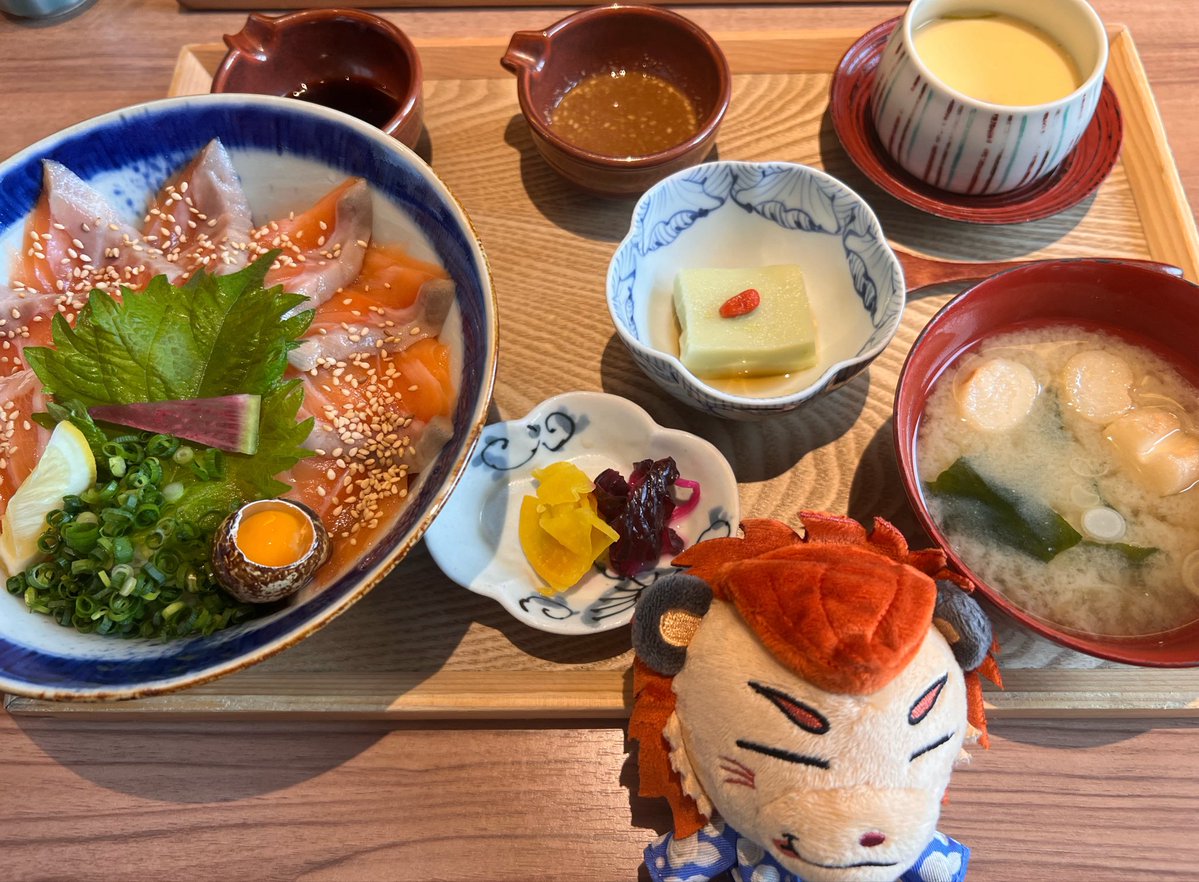 サーモン丼美味しかったꉂ🤭︎💕
ライジーも喜んでいる✨✨