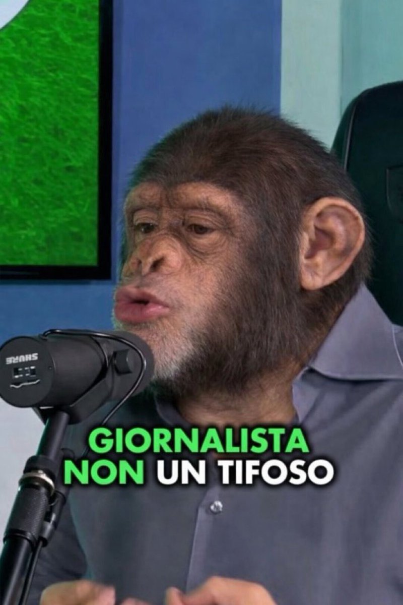 capax_ang's tweet photo. @tancredipalmeri https://t.co/NyTTdOpSuj