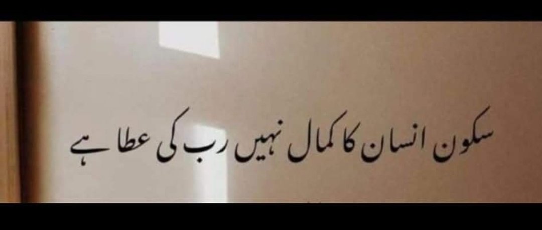 AmtulHafeez1970's tweet image. اللہ تعالیٰ سب کوسکون عطافرمائے______

سب کواپنے فضل سےخوشیوں سے بھرپورصحت والی زندگی عطا فرمائے________

🤲🌹 آمین ثمہ آمین

#highlightseveryone #سکون
#امن 

#امتہ_الحفیظ