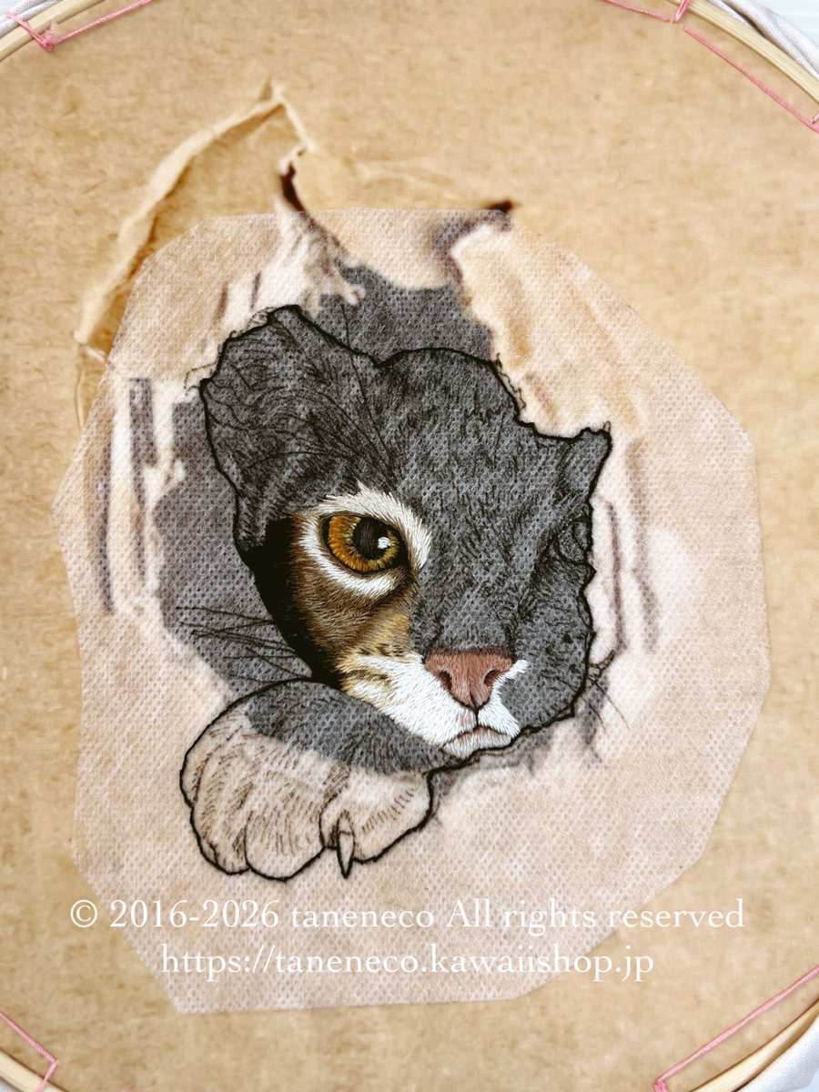 ©︎taneneco 𓃠-ﾀﾈﾈｺ-🪡 tweet media