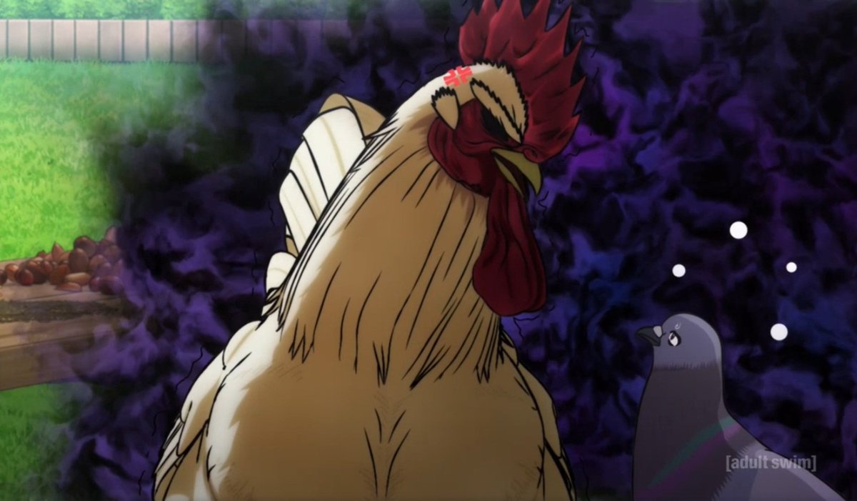 ToonamiNews's tweet image. I thought you said these pigeons will swoon for me
#RoosterFighter #Toonami