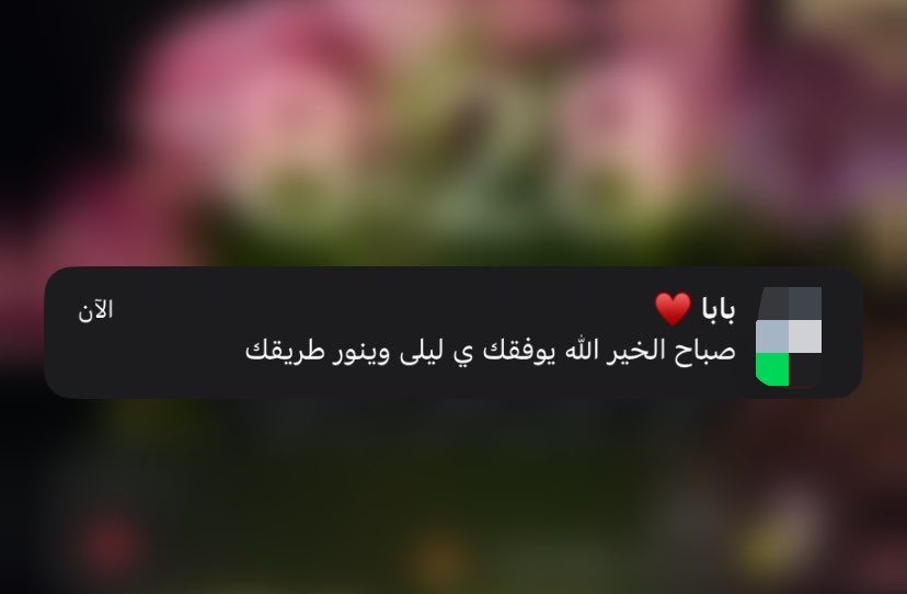 Layla tweet media