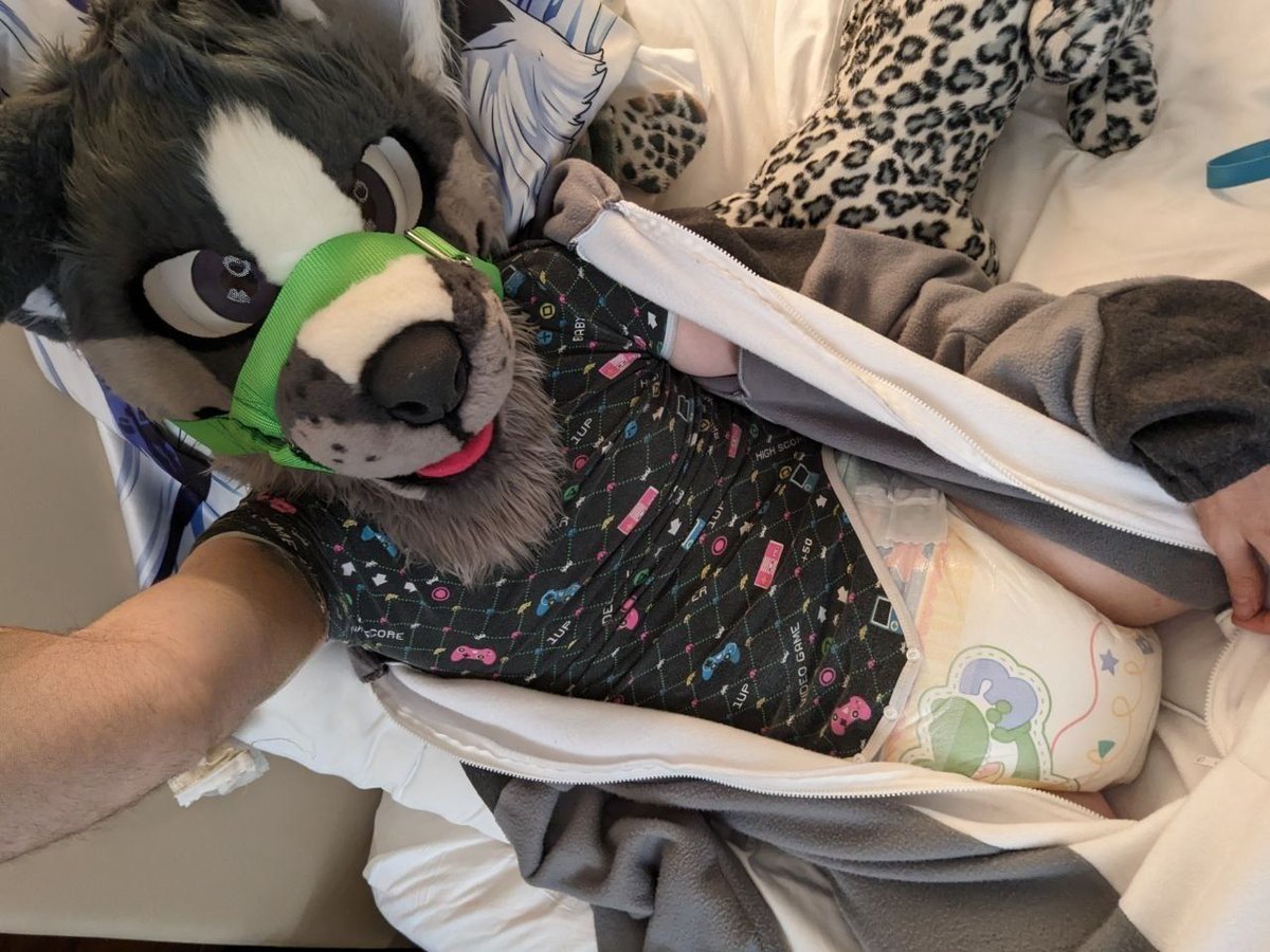 Soggy Shep tweet media