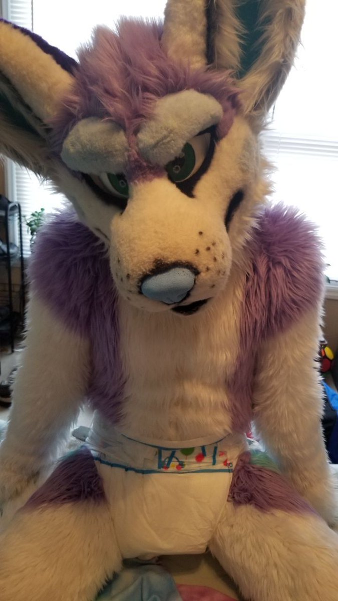 Soggy Shep tweet media