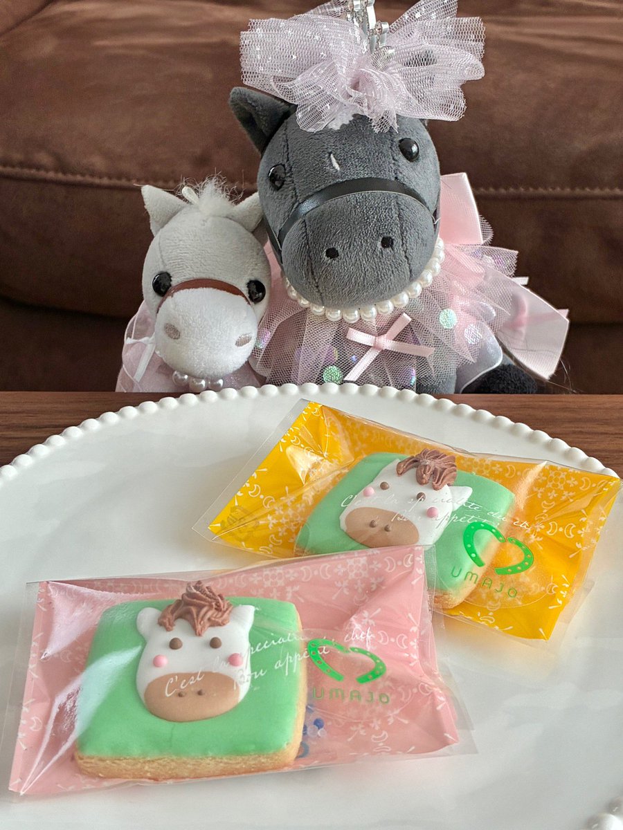 シャドーロールちゃん🪻 tweet media