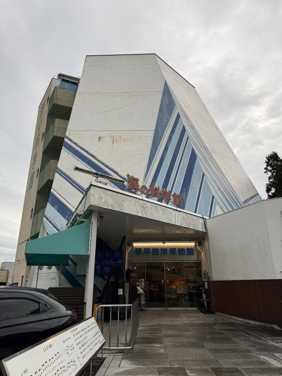 浜乃龍アル tweet media