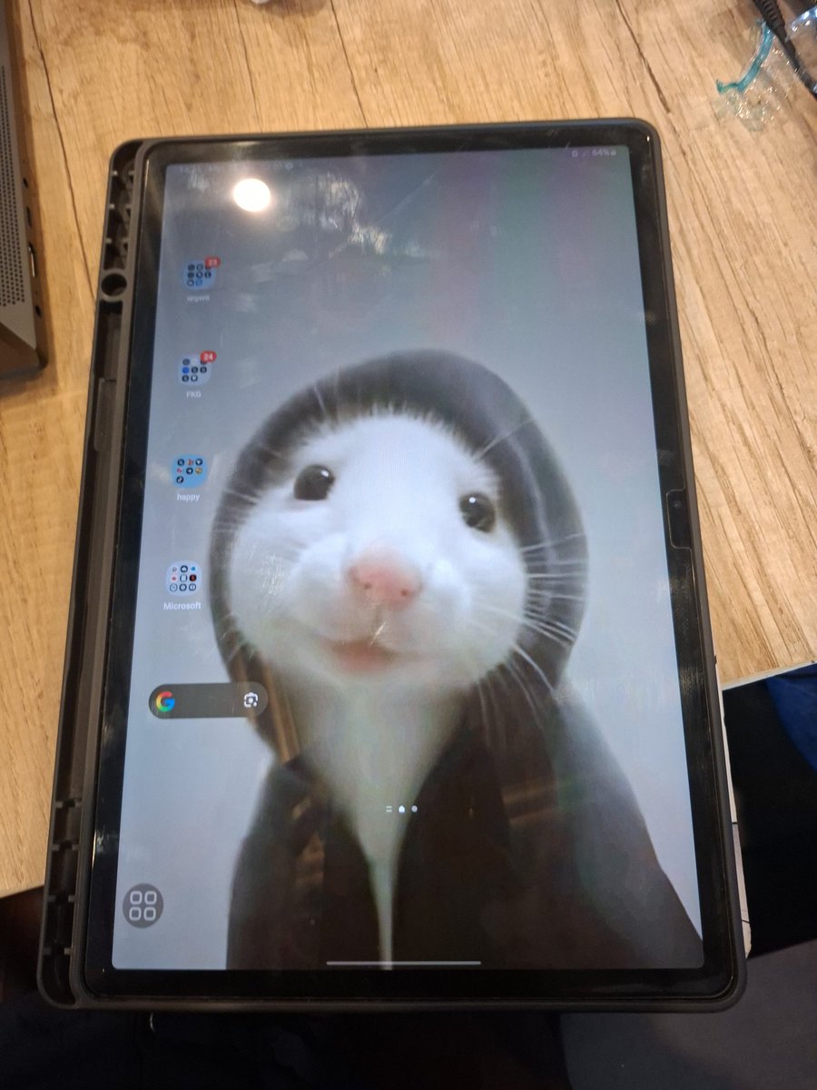 shasha is stu(dying) tweet media