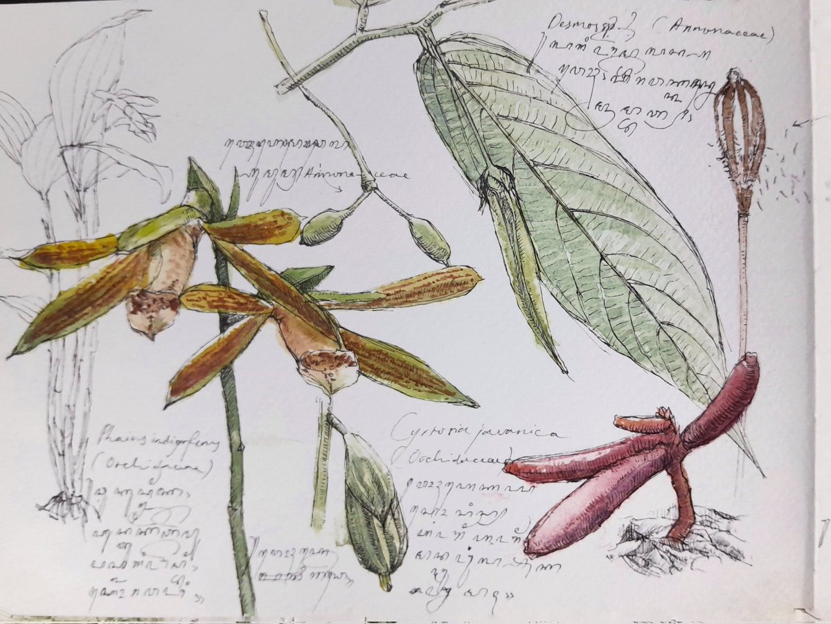 Kålåkêcipå tweet media