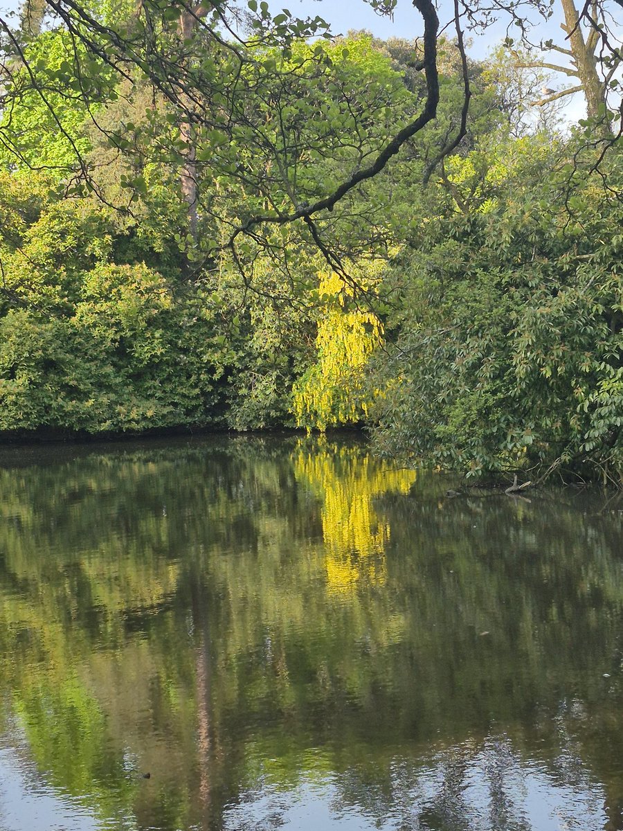 RussGascoigne1's tweet image. Morning #parklife