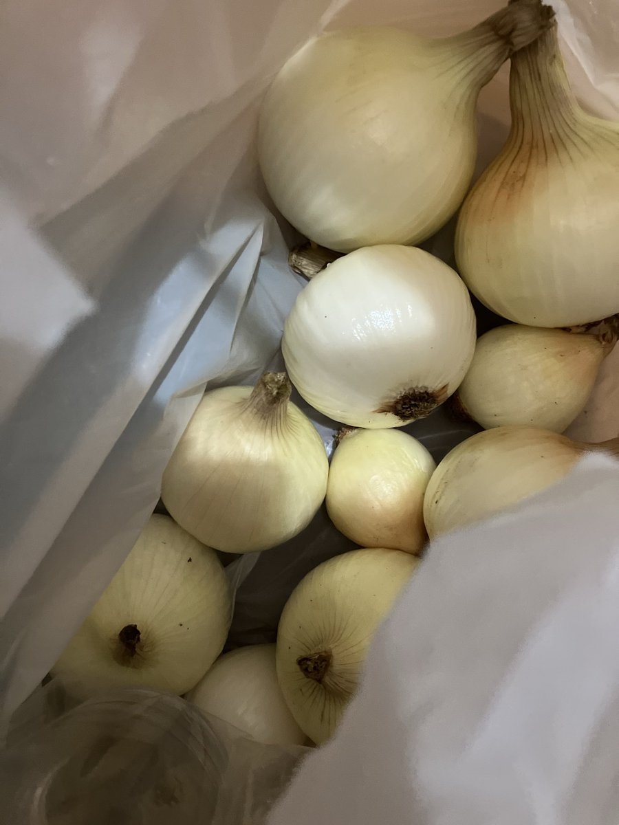 流石に焼酎はどうでも良いからばあちゃん家に一箱渡した。玉ねぎまた貰った(꒪⌓꒪)