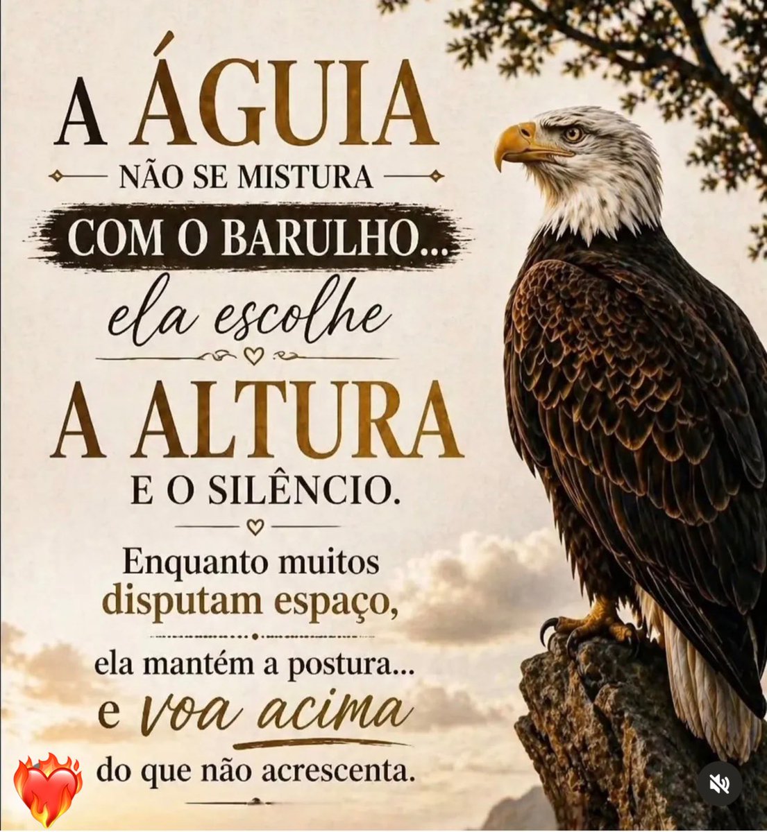 pemarcelorossi's tweet image. Amados 
#domingo #biblia #jesus #deus 
“Aos cansados ele dá novas forças e enche de energia os fracos. Até os jovens se cansam, e os moços tropeçam e caem; mas os que confiam no Senhor recebem sempre novas forças. Voam nas alturas como águias, correm e não perdem as forças, andam