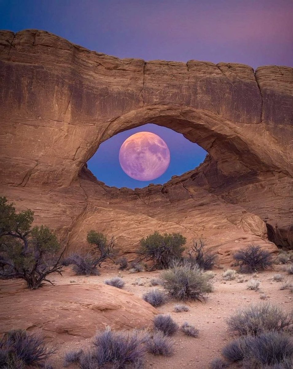 MOON LOVER tweet media