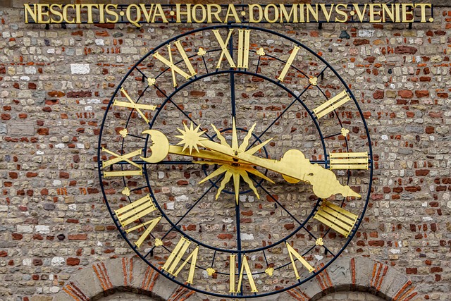 Geneva Hanson tweet media