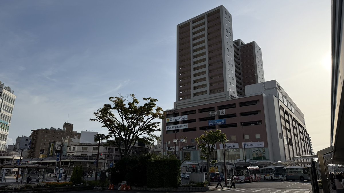 がち 🍟(๑╹ڡ╹๑)🐙💚🚑🐚🐧🍓 tweet media