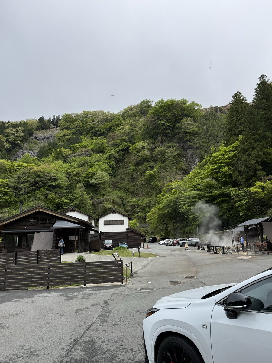 ほしほしい tweet media